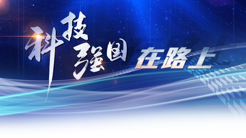 电商知识图谱：构建电商智慧大脑的关键步骤